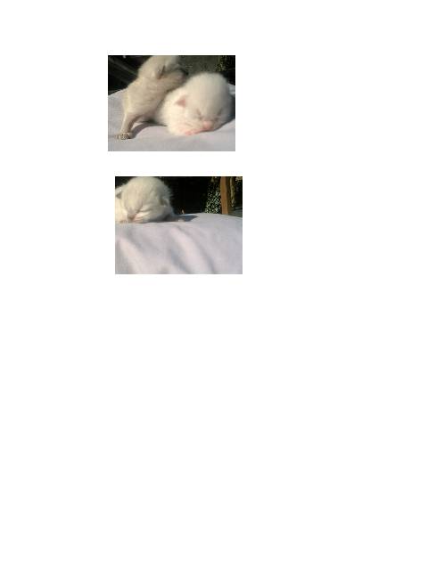 2pic.jpg